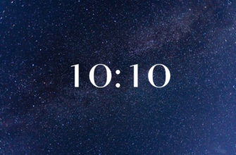 10 10
