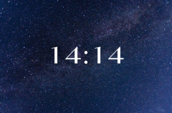 14 14