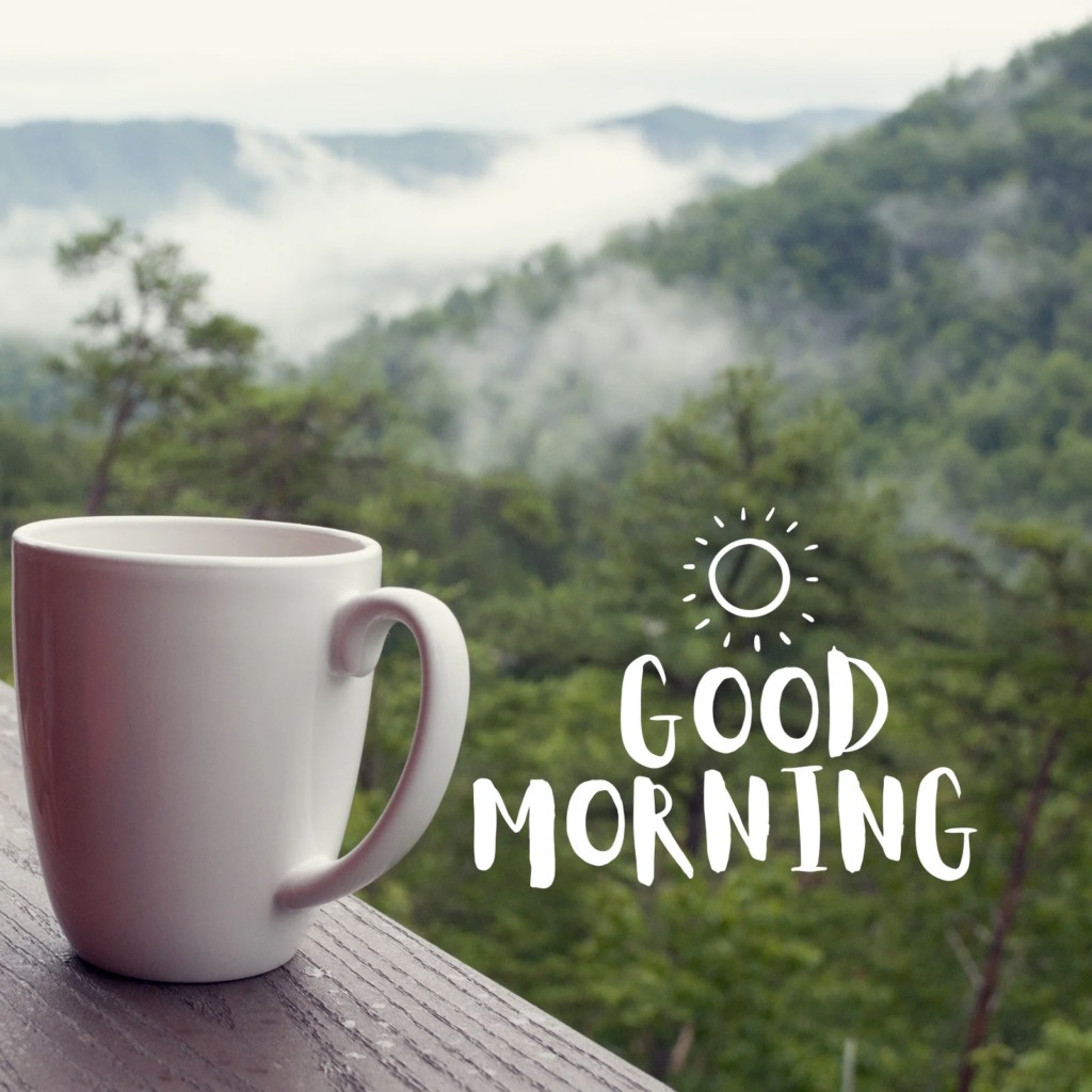 Good morning